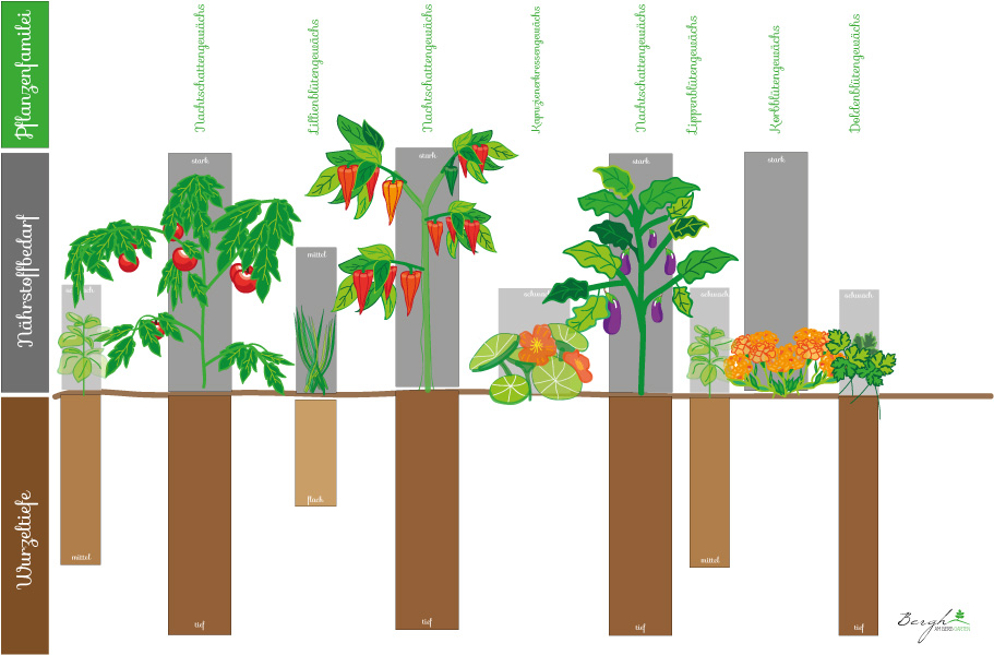 Bergh AM BERG GARTEN Jungpflanzenanzucht 2019 jetzt kommen die