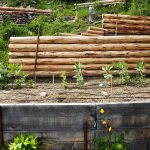 18. Mai - schon wunderschöne Blüten zu sehen