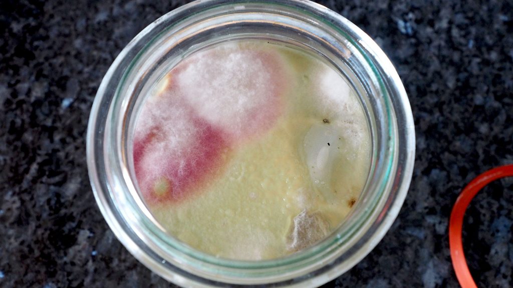 Bergh AM BERG GARTEN Fermentieren die ersten Erfahrungen